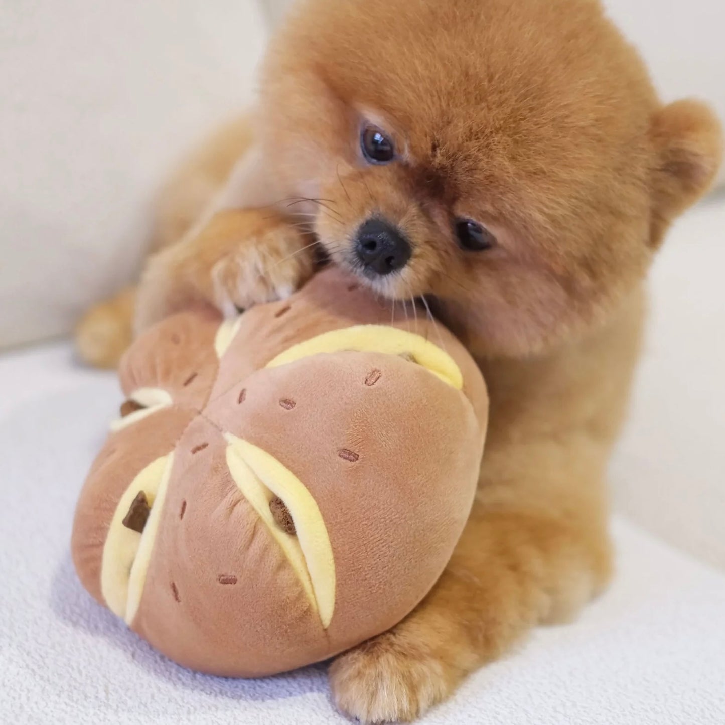 Cheesy Bread Nosework Toy