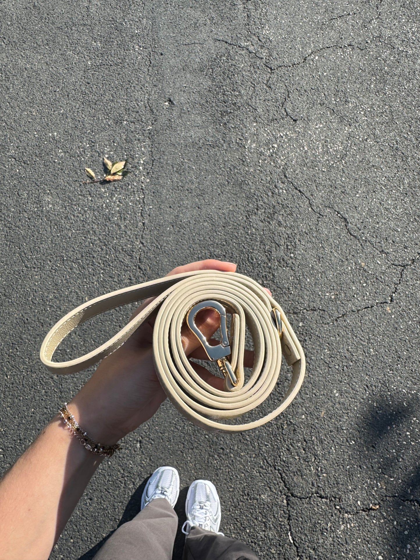Dog Leash - beige