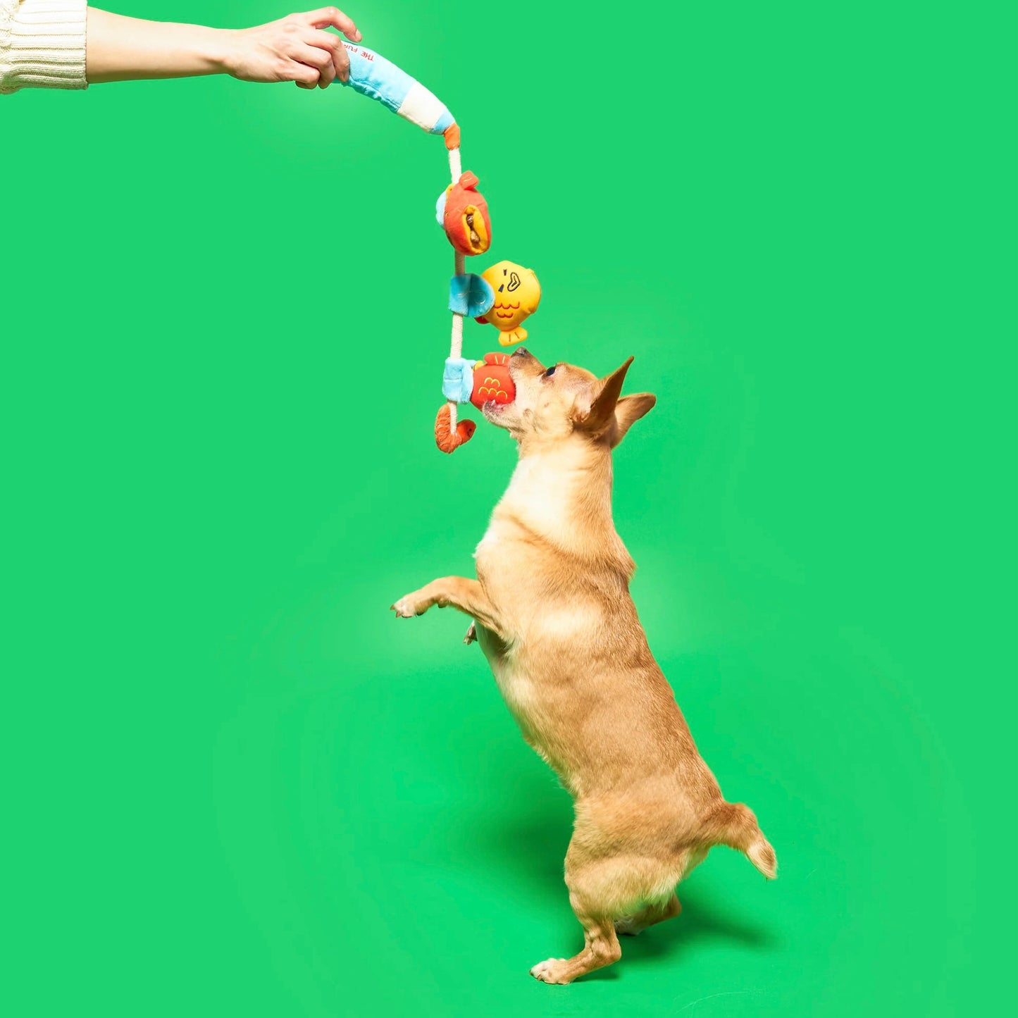 Fishing Nosework & Tug Toy