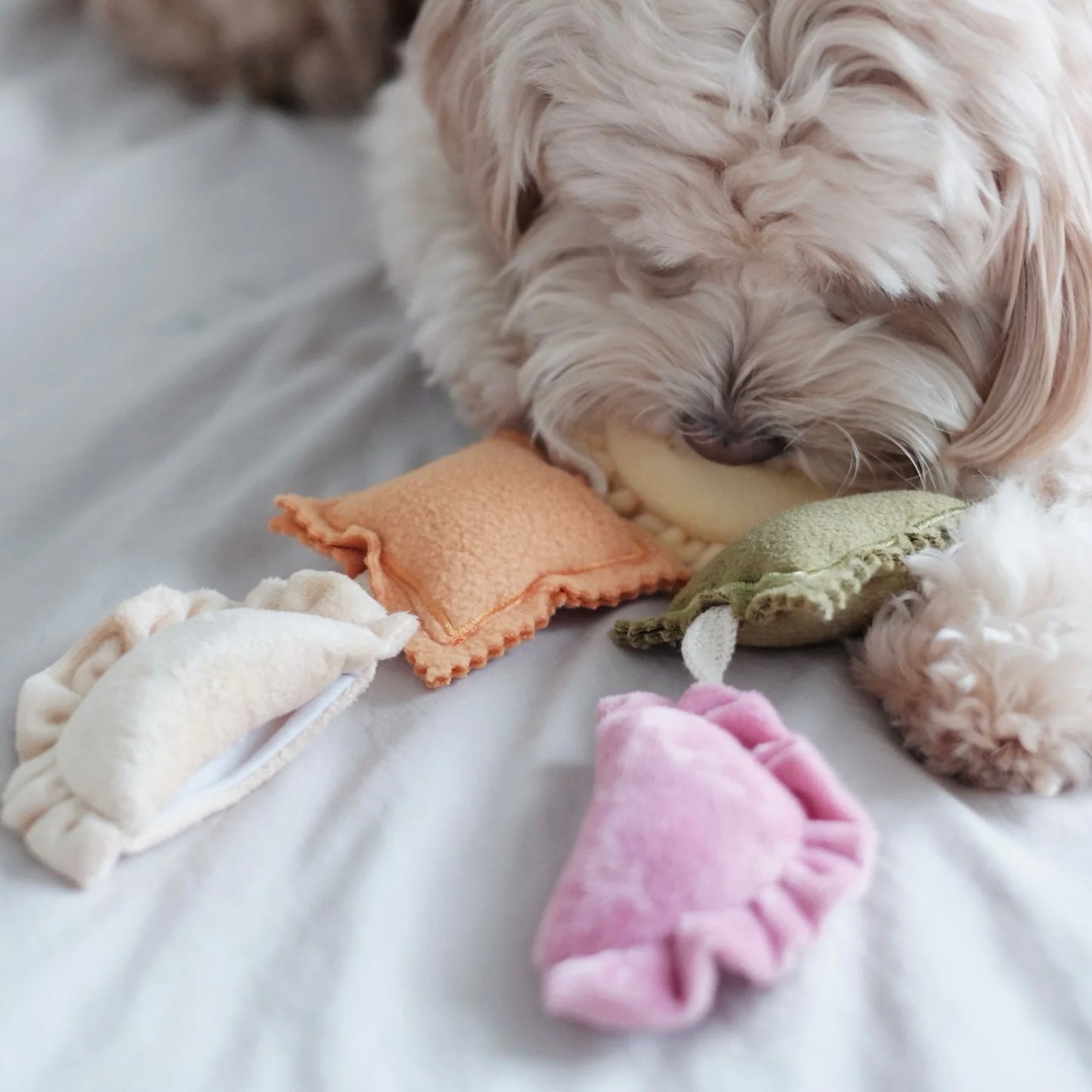 Ravioli Nosework Toy