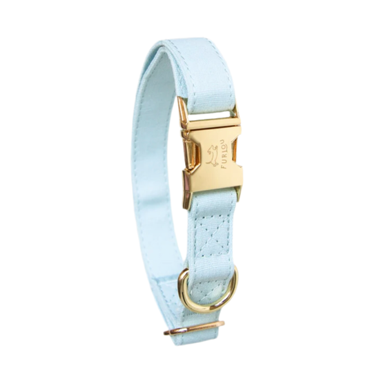 Dog collar Baby blue