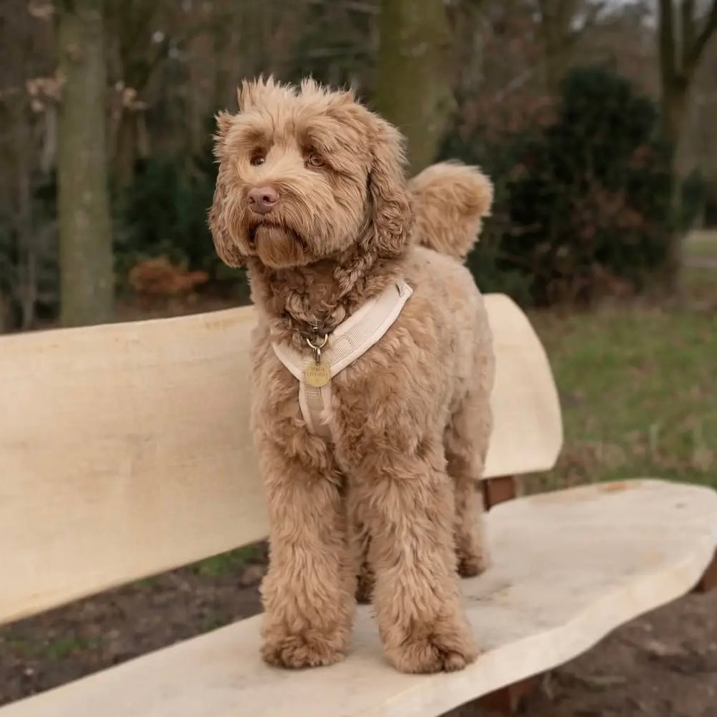 Comfort Dog Harness Tan