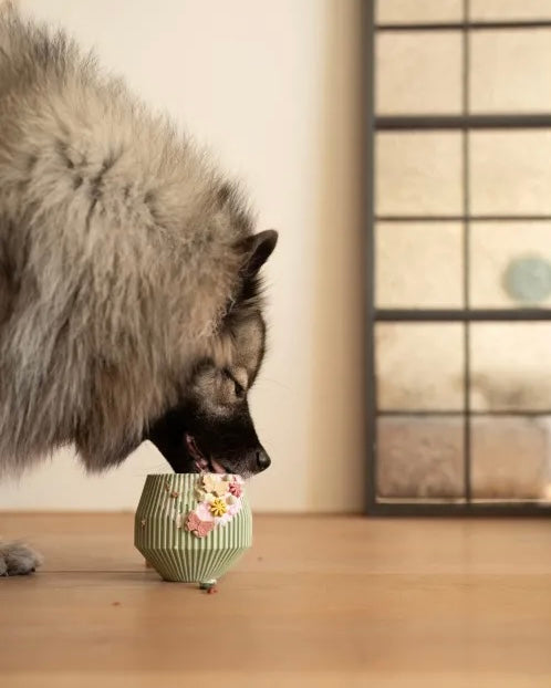 Yume enrichment dog product