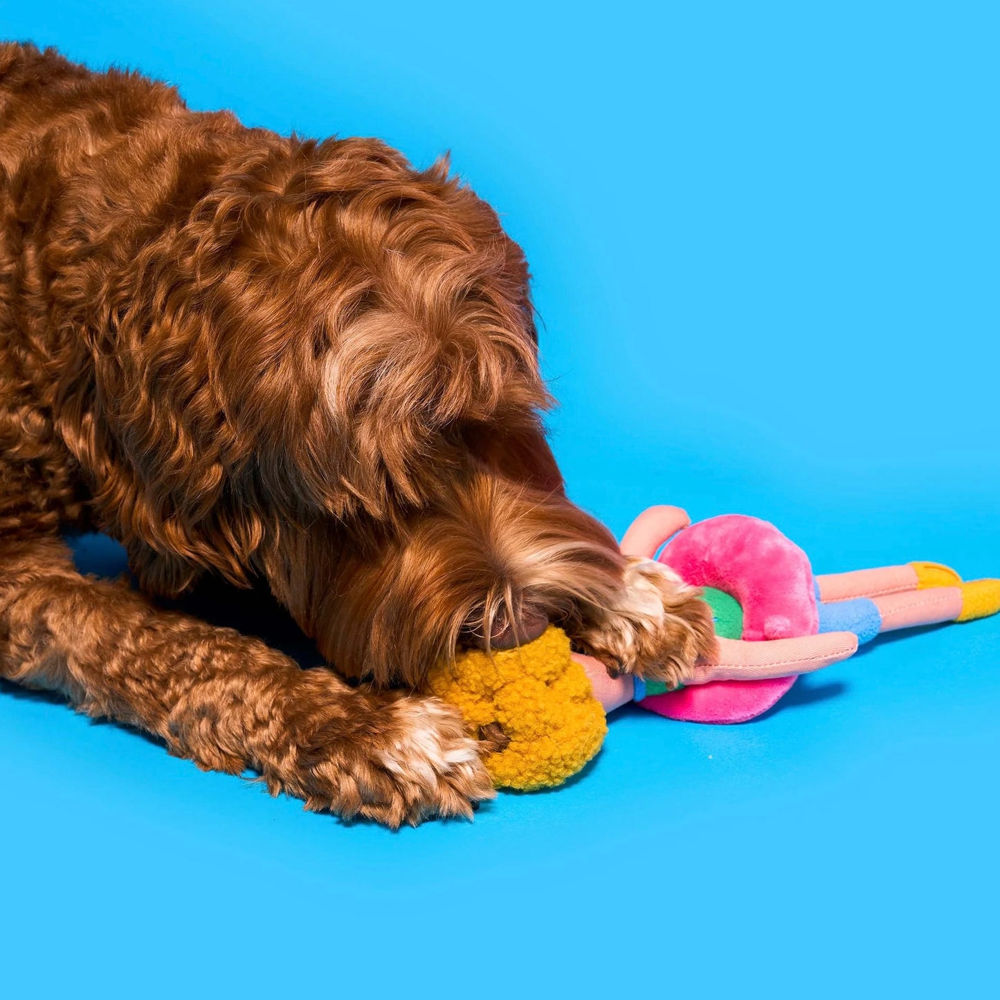 Flamingo Hooman Nosework Toy