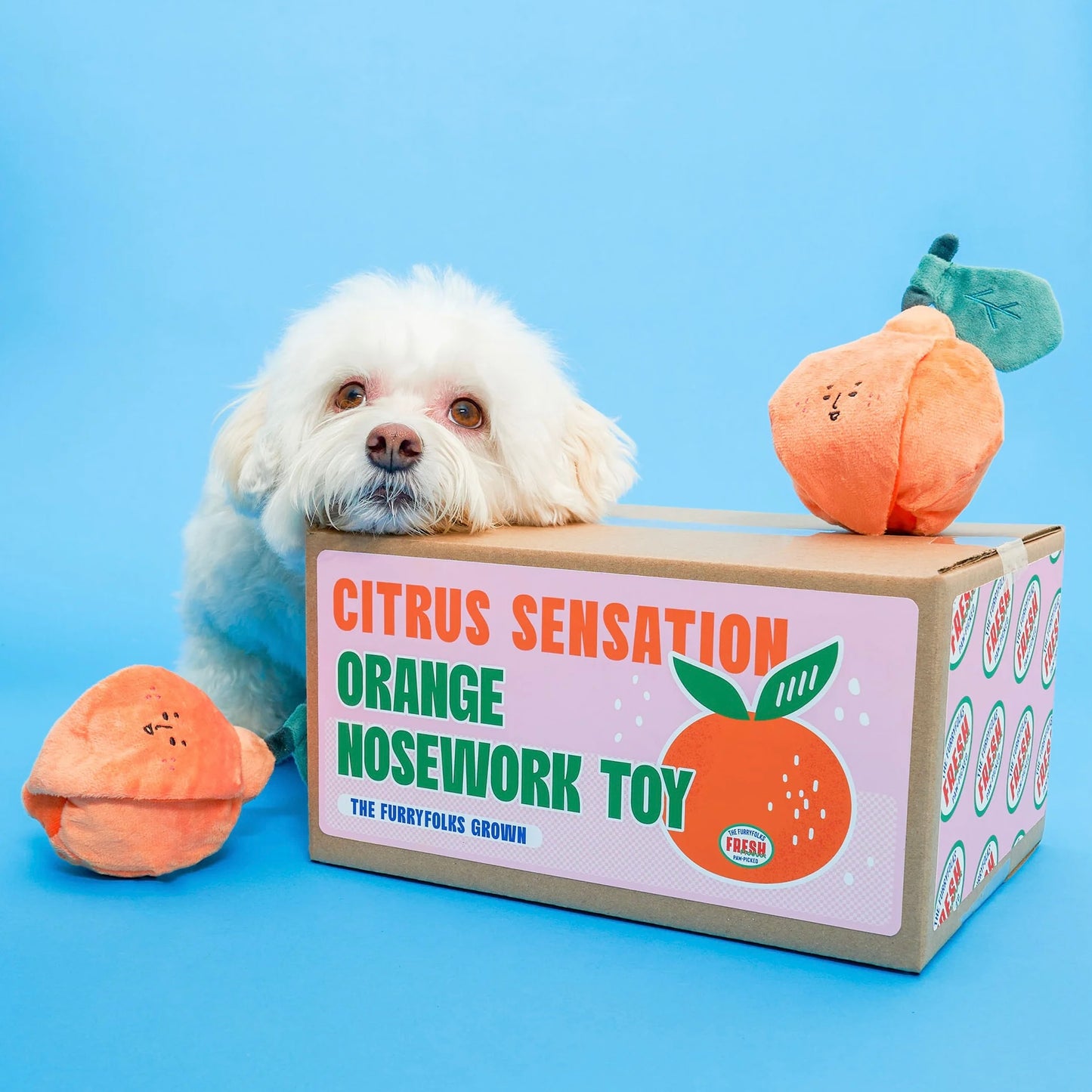 Orange Nosework Toy