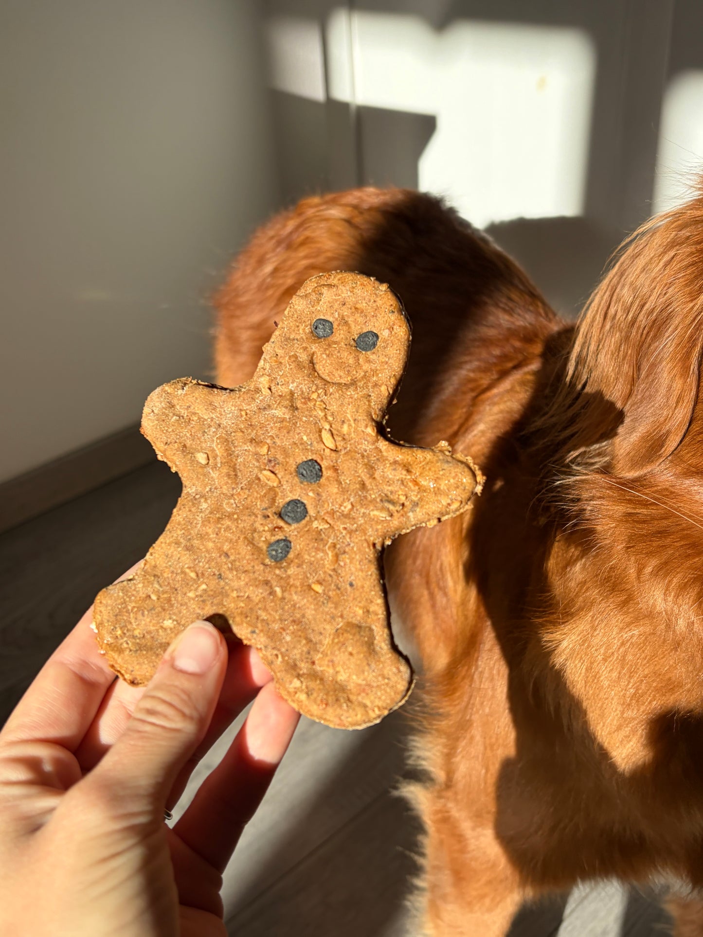 Gingerbread cookie