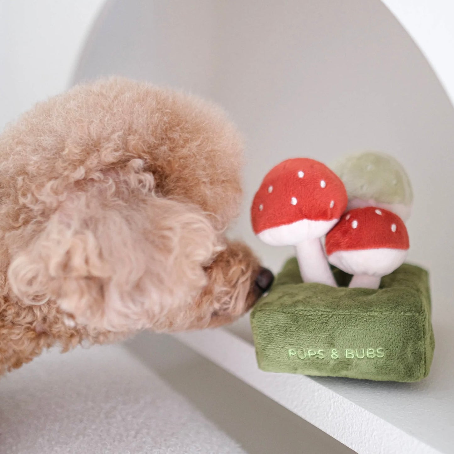 Forest Mushroom Nosework Toy
