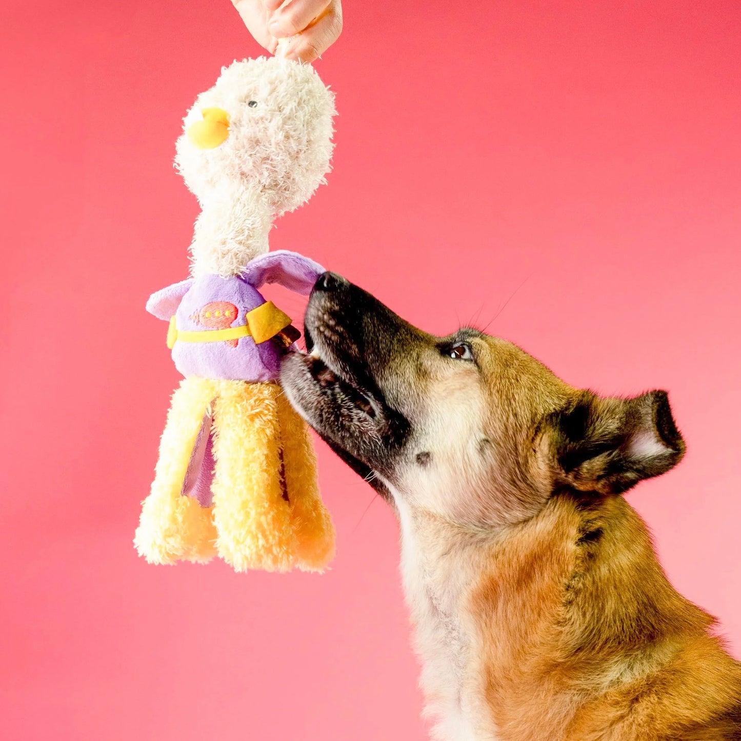 Ostriken Nosework Toy