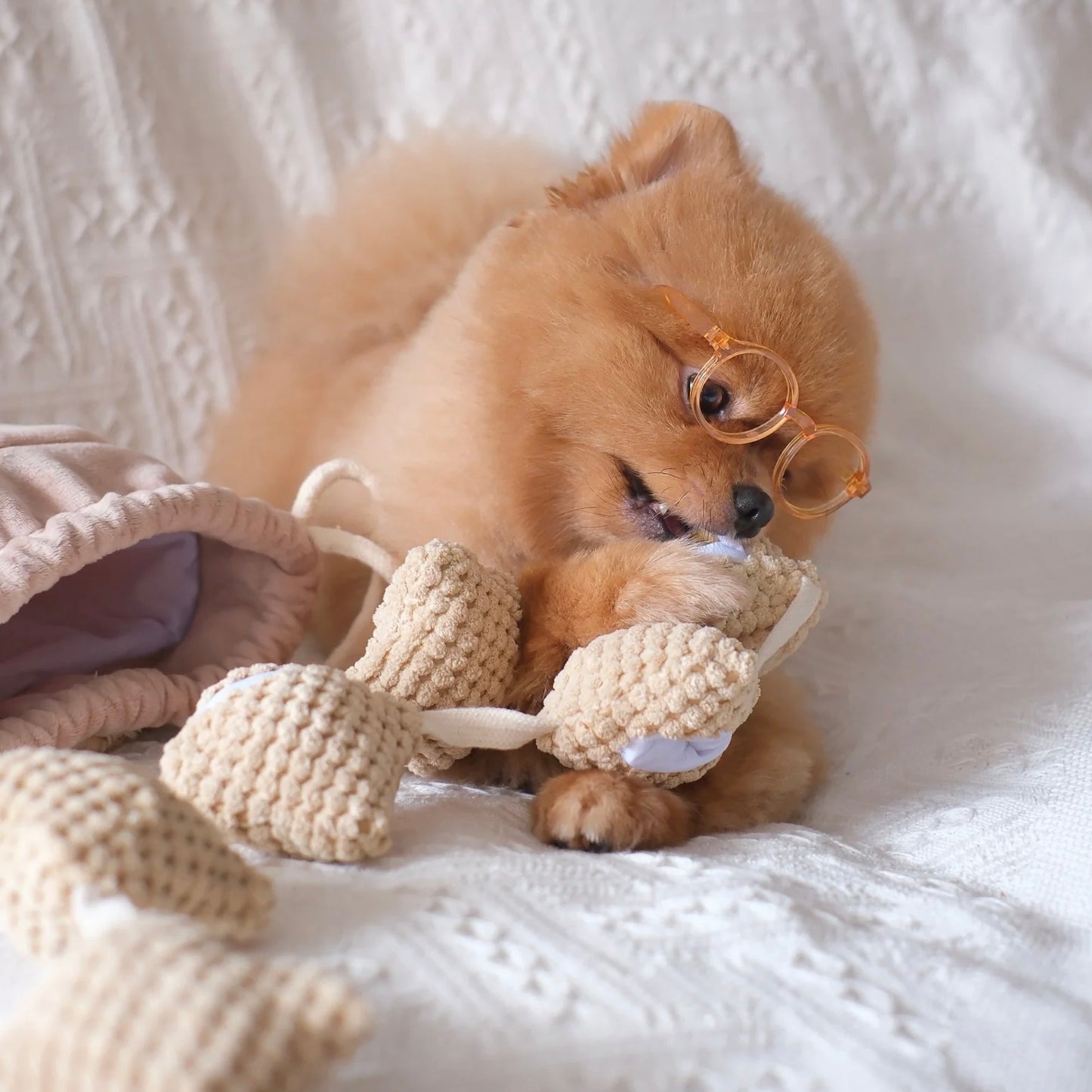 Popcorn Nosework Toy