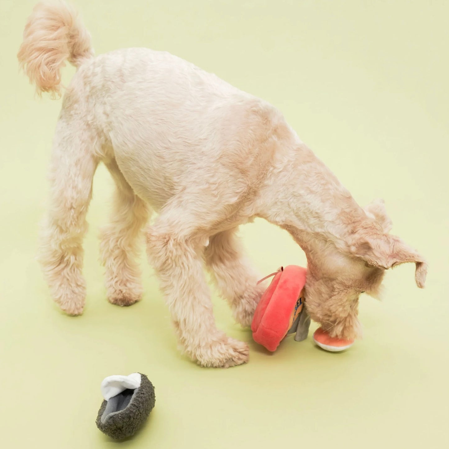 Tinned Mussel Nosework Toy