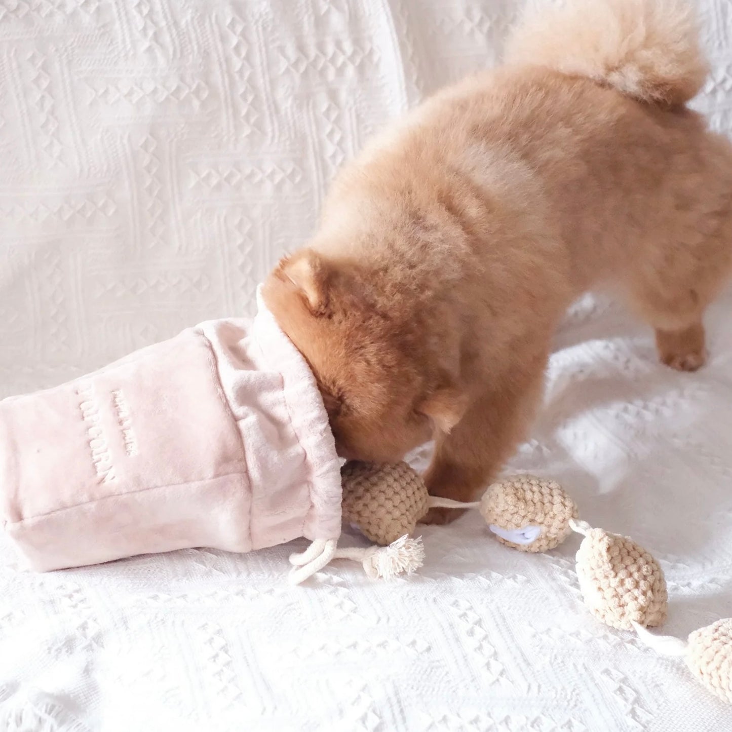 Popcorn Nosework Toy