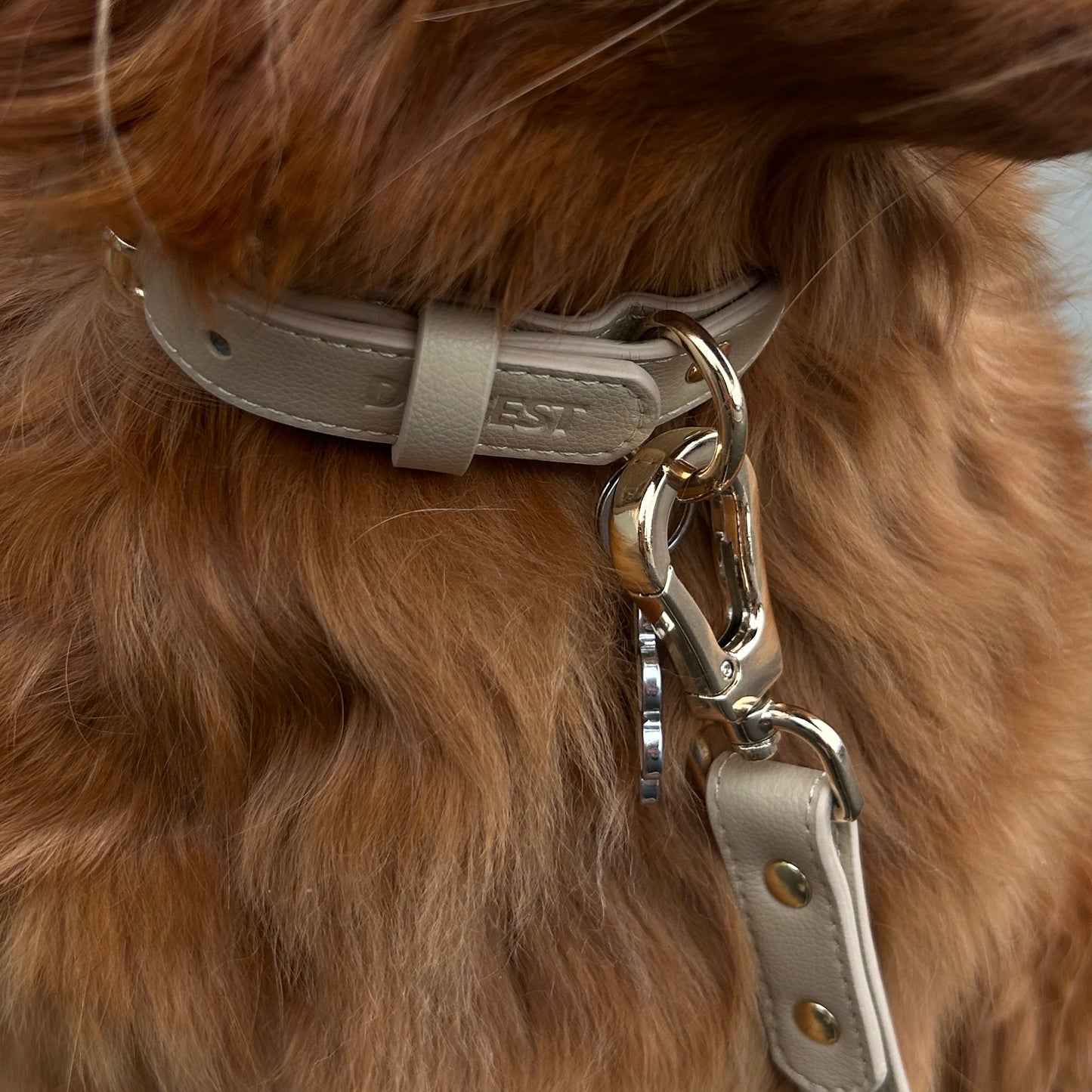 Dog Collar - beige