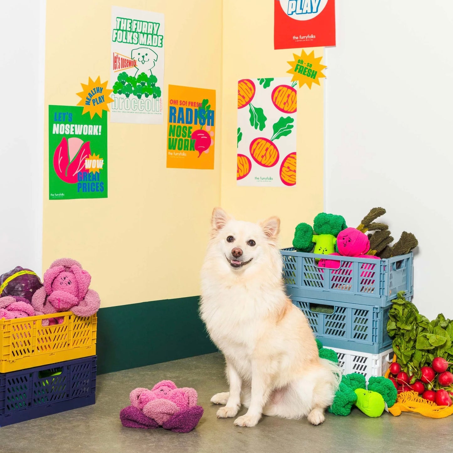 Red Cabbage Nosework Toy