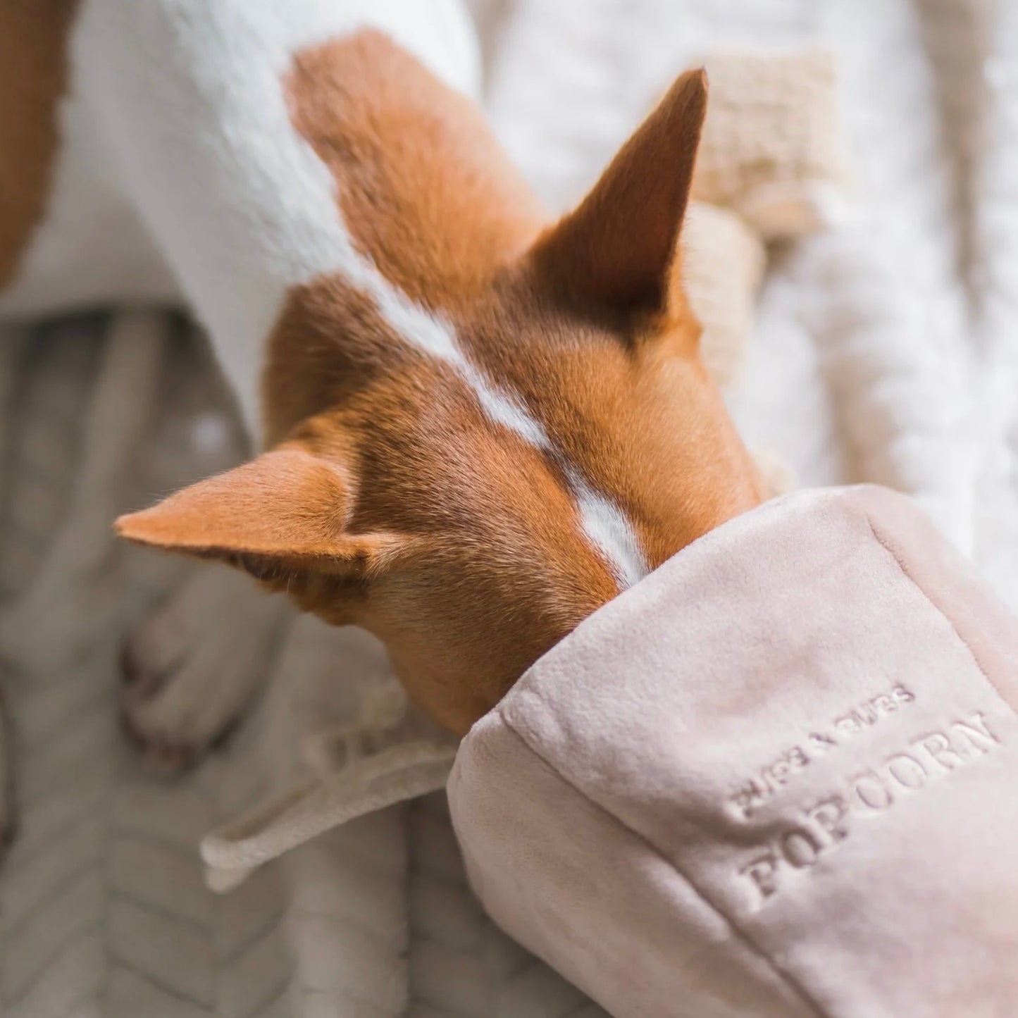 Popcorn Nosework Toy