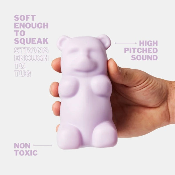 Gummy Squeaky Dog Toy