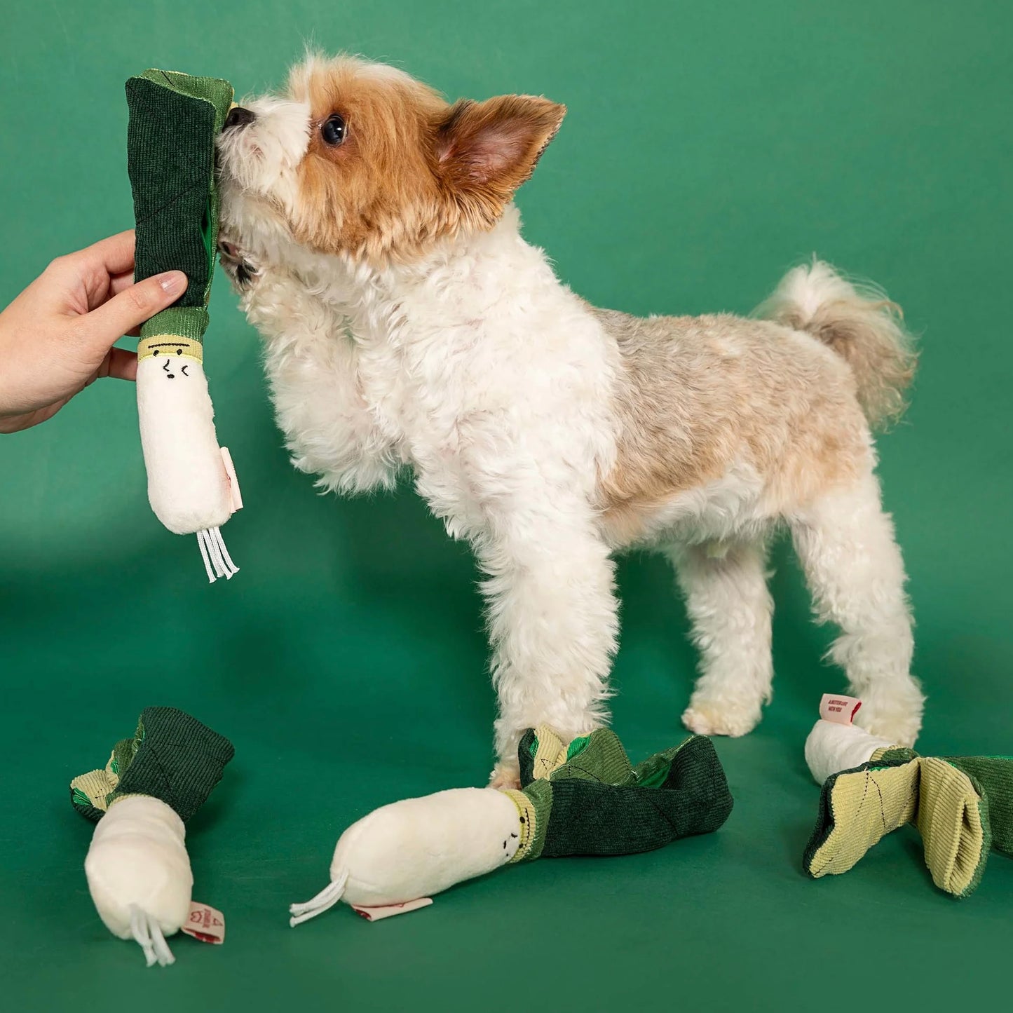 Green Onion Nosework Toy