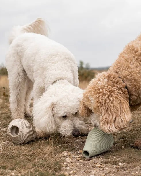 Yume enrichment dog product