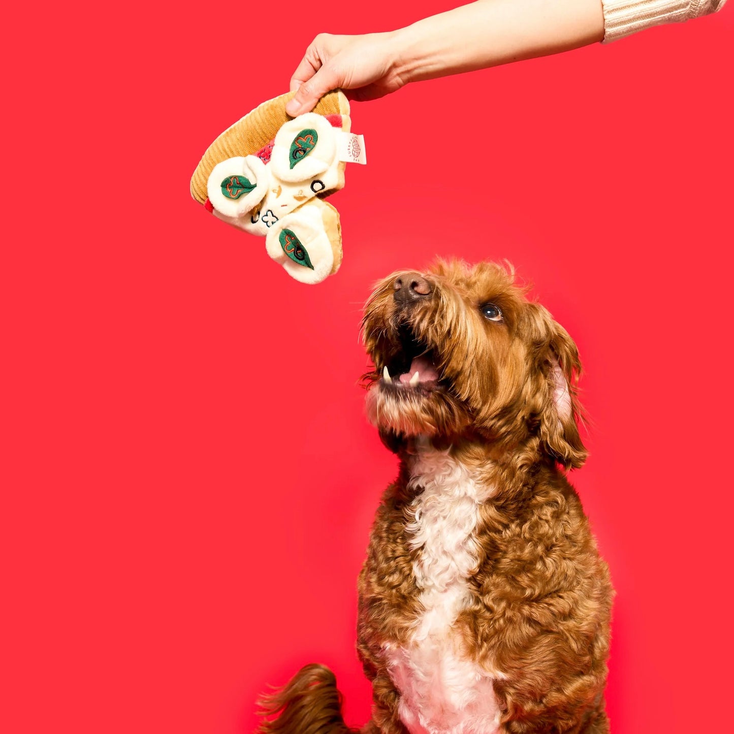 Pizza Nosework Toy