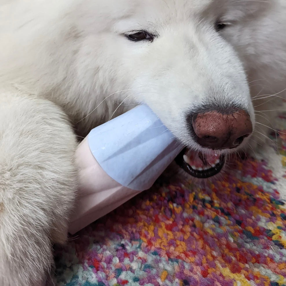 The Ubbe Dog Licking Toy