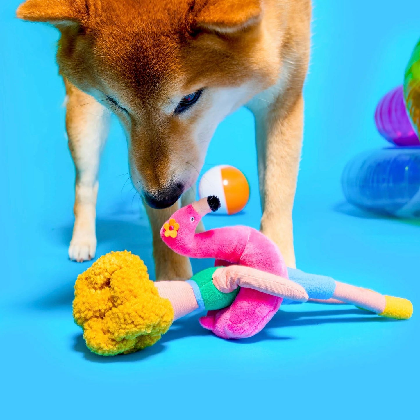 Flamingo Hooman Nosework Toy