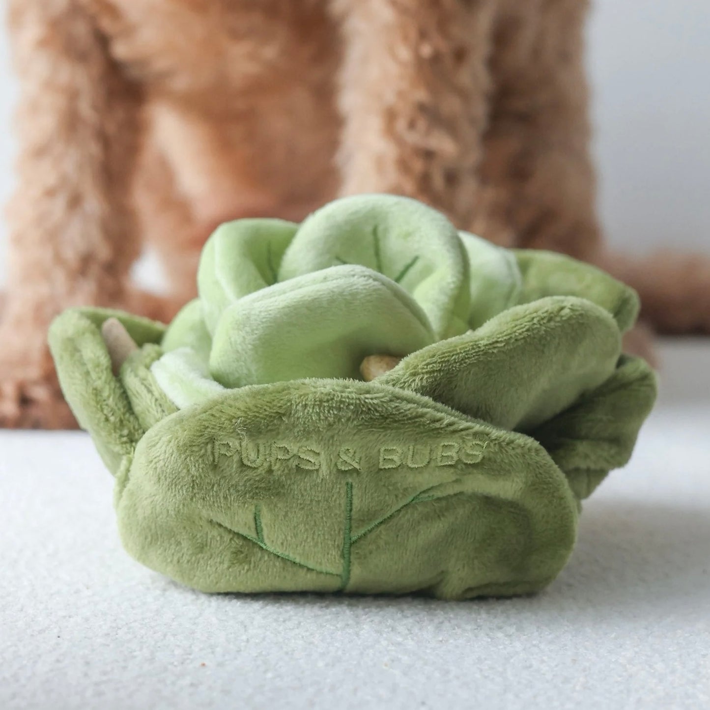 Snuffle Cabbage Nosework Toy