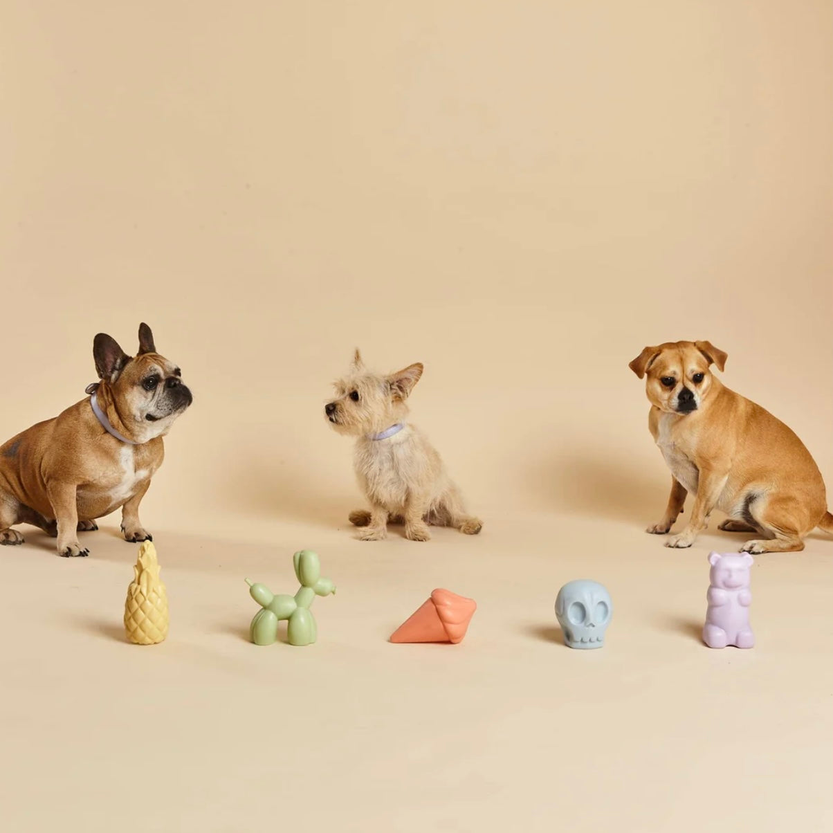 Whippy Squeaky Dog Toy