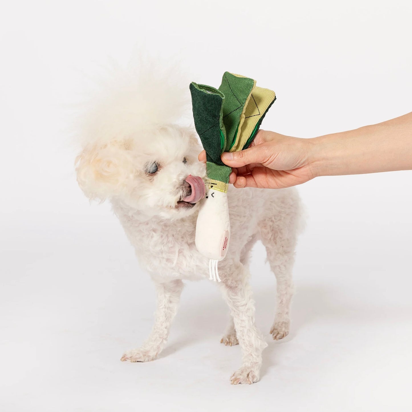 Green Onion Nosework Toy