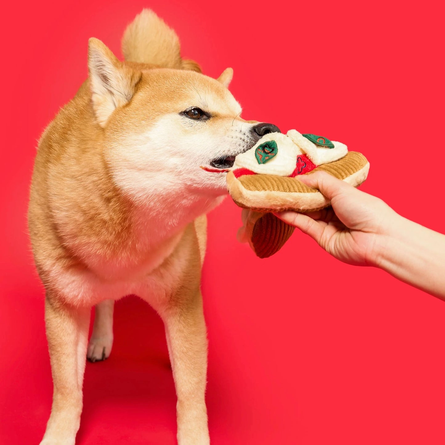 Pizza Nosework Toy