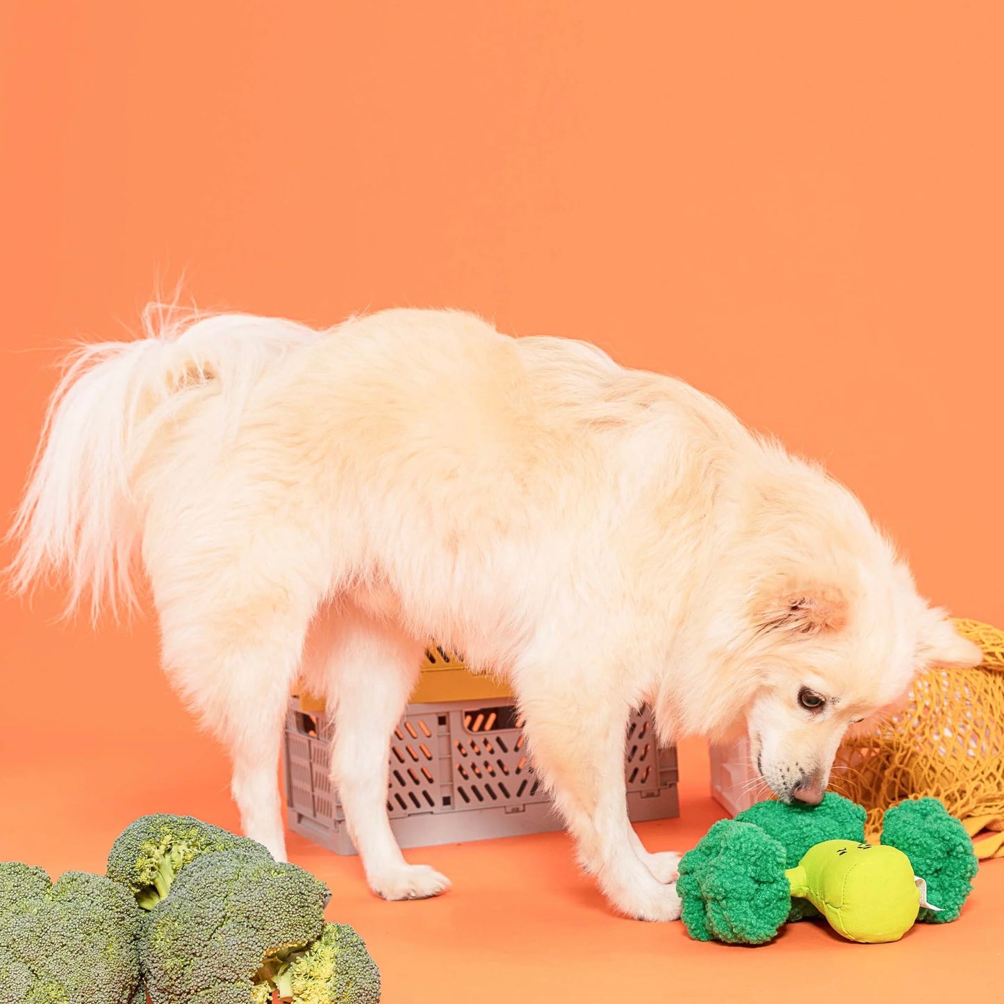 Broccoli Nosework Toy