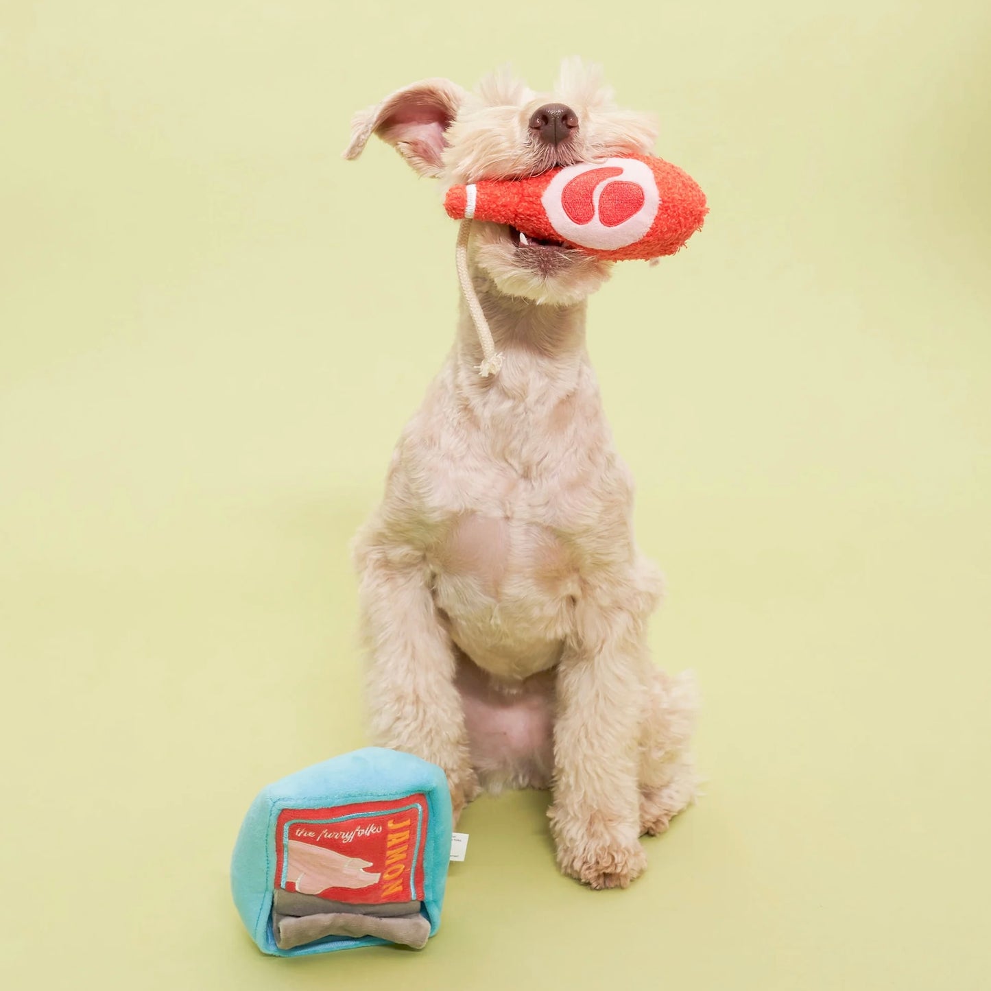 Tinned Jamón Nosework Toy
