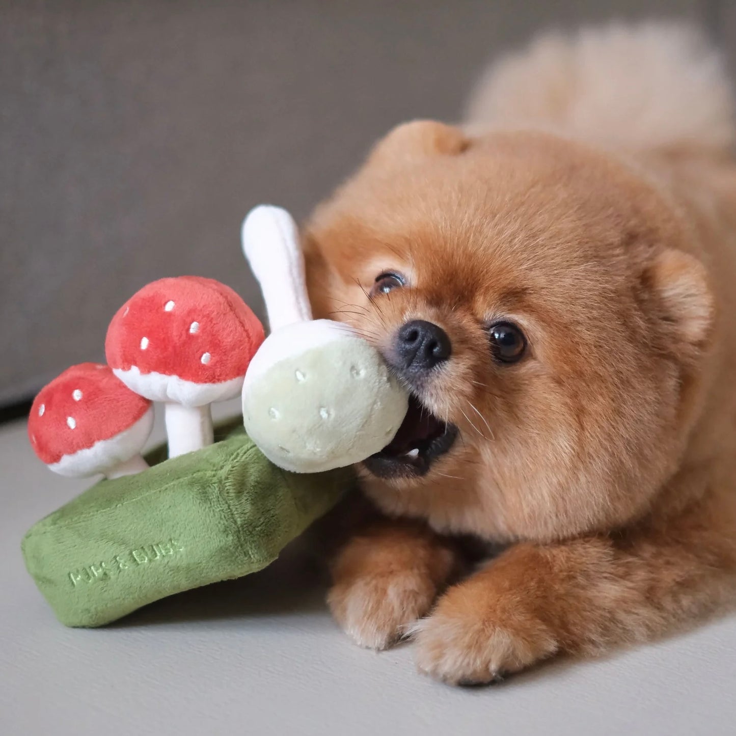 Forest Mushroom Nosework Toy