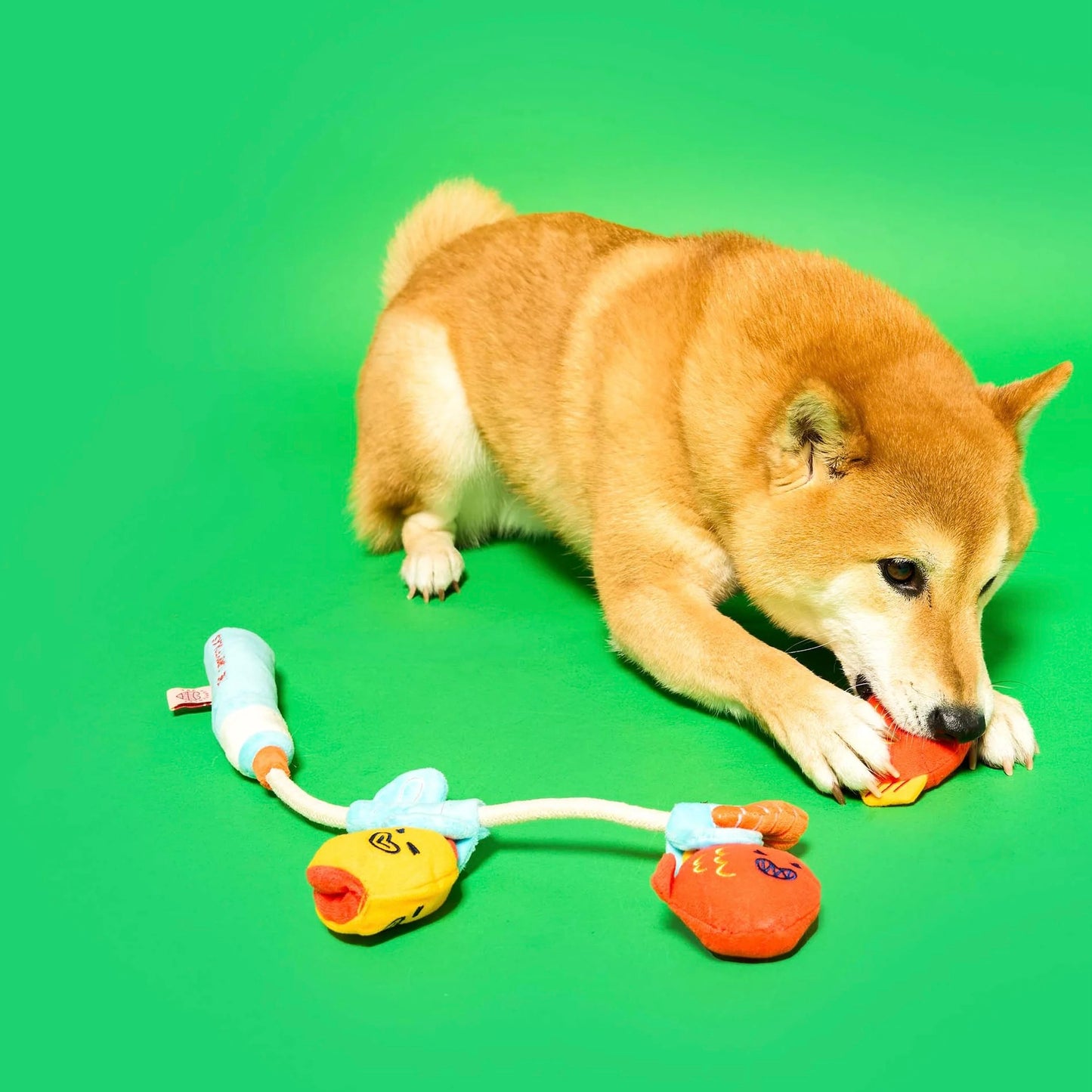 Fishing Nosework & Tug Toy