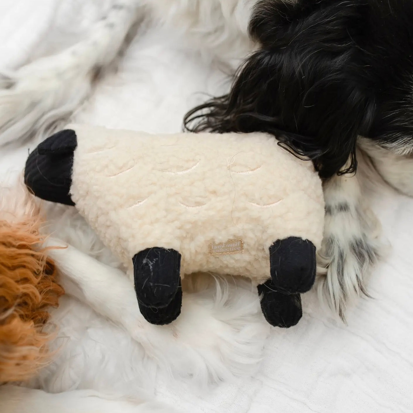 Dolly Lampy Squeaker Toy