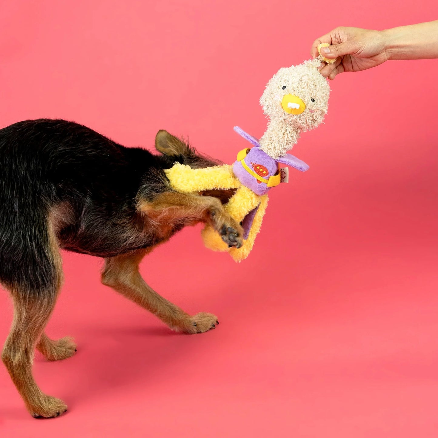 Ostriken Nosework Toy