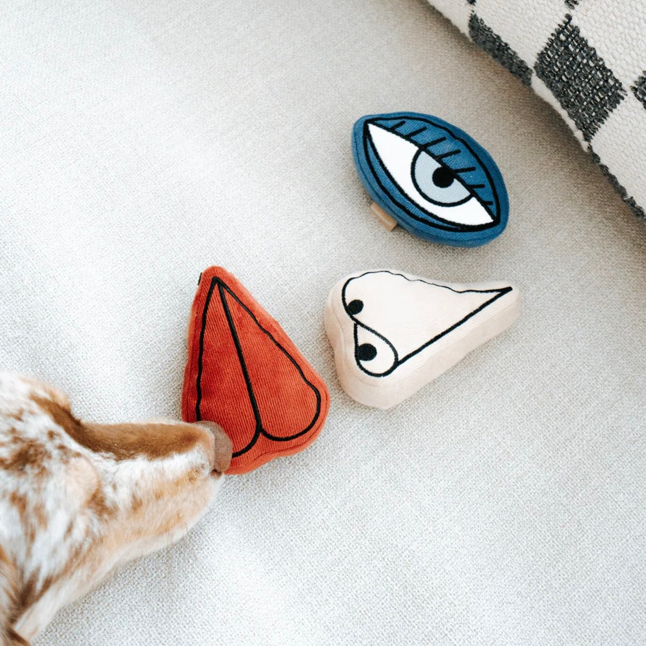 Picasso Enrichment Dog toy set