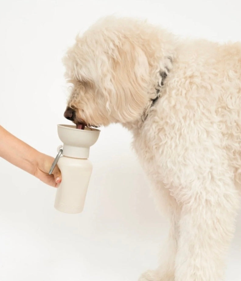 Flip travel bottle beige