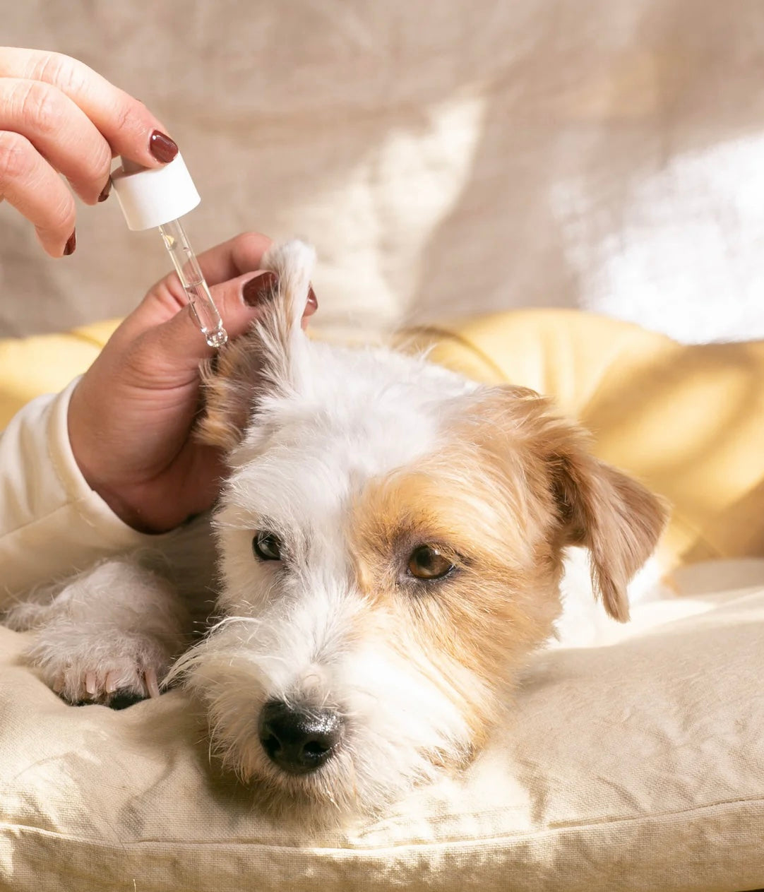 Ear Soothing cleaner