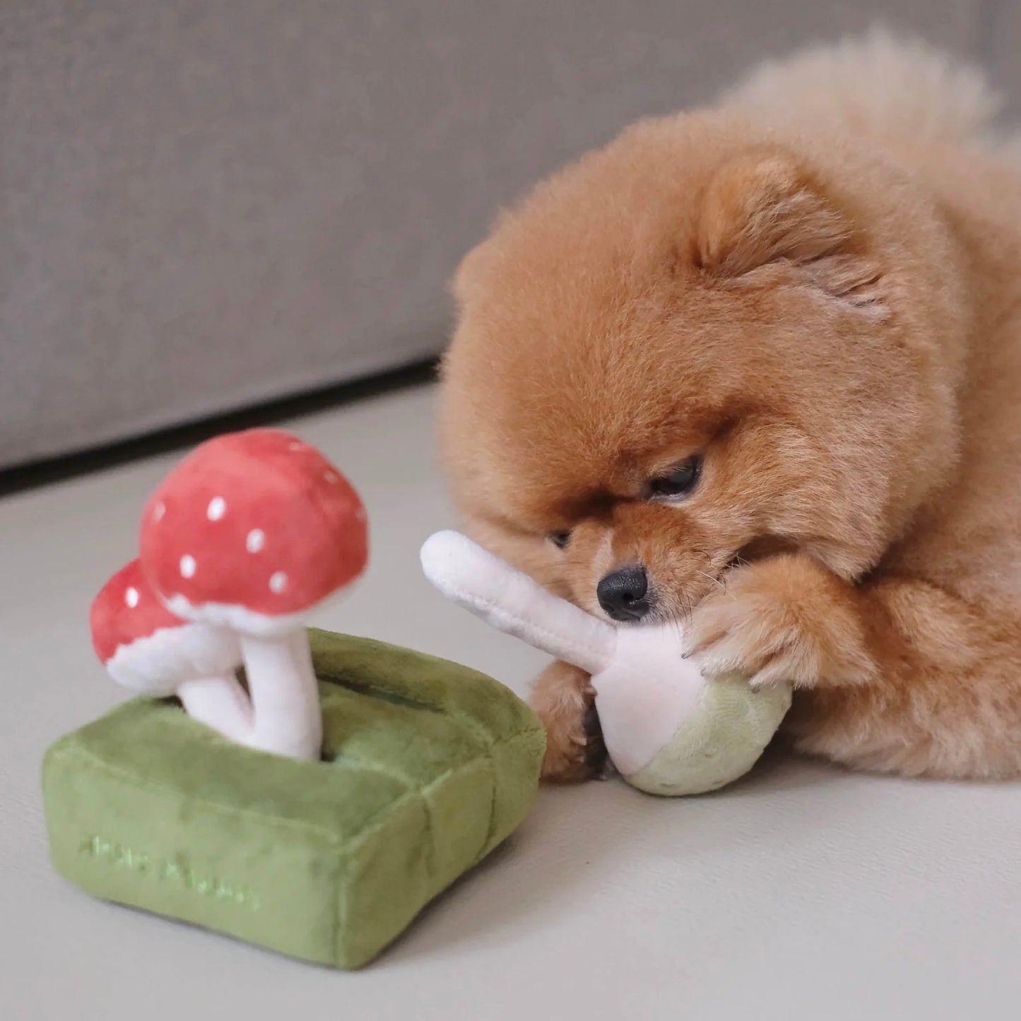 Forest Mushroom Nosework Toy