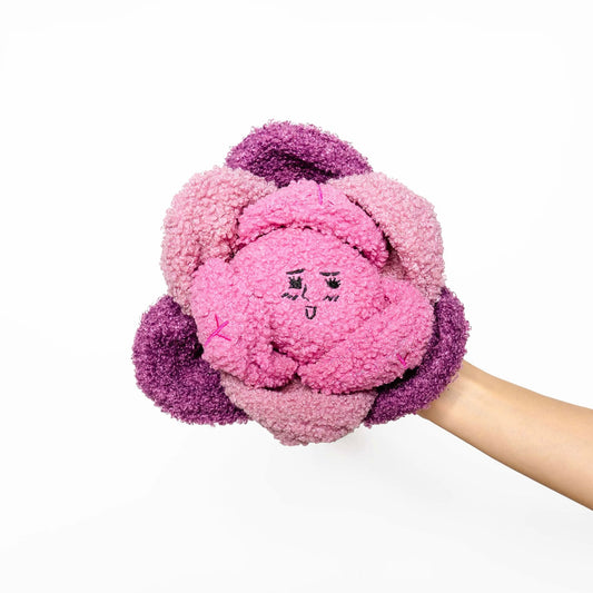 Red Cabbage Nosework Toy