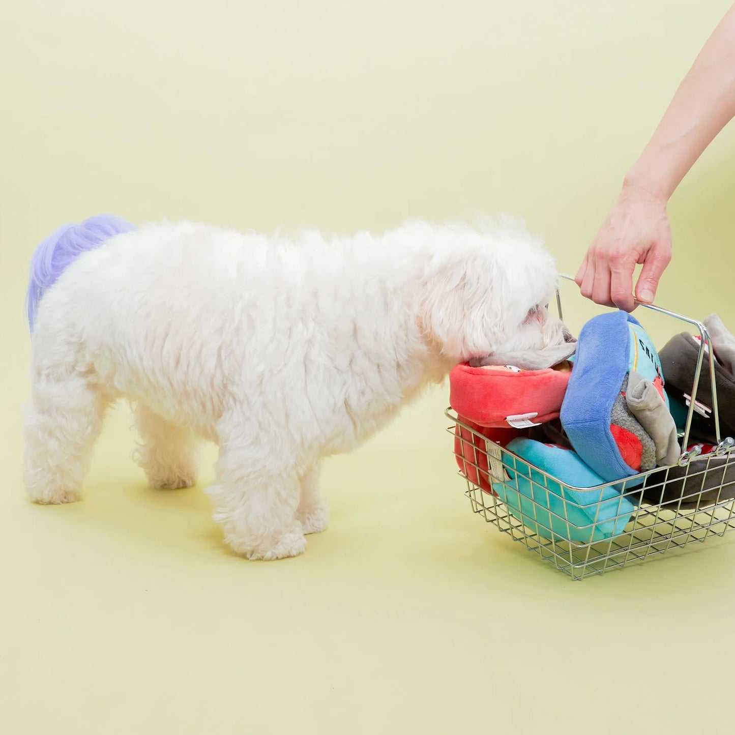 Tinned Jamón Nosework Toy