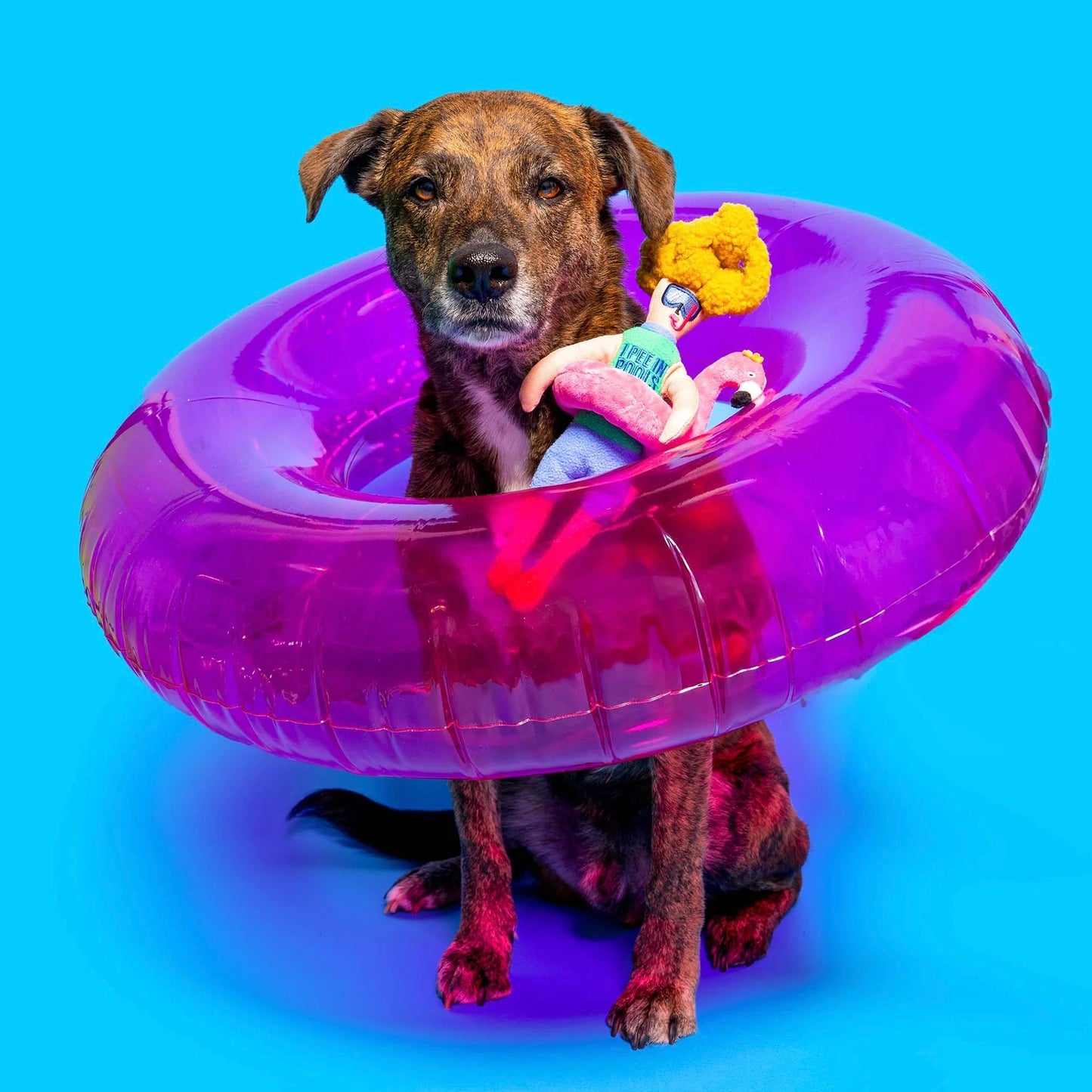 Flamingo Hooman Nosework Toy