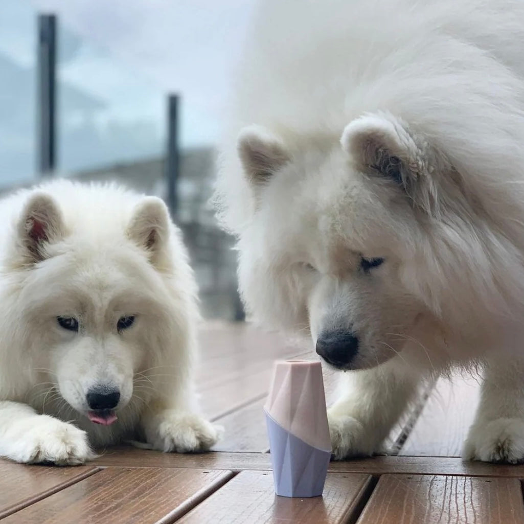 The Ubbe Dog Licking Toy