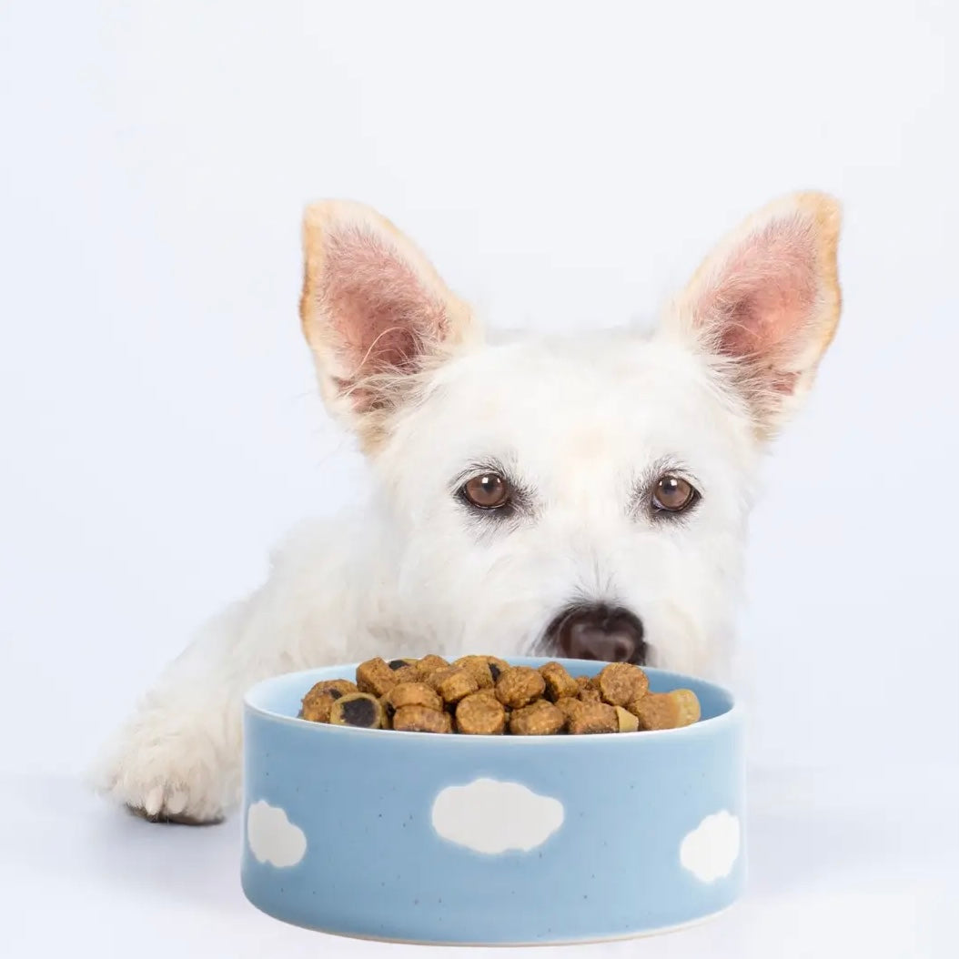 Cloud Pet Bowl 2 Pieces Set