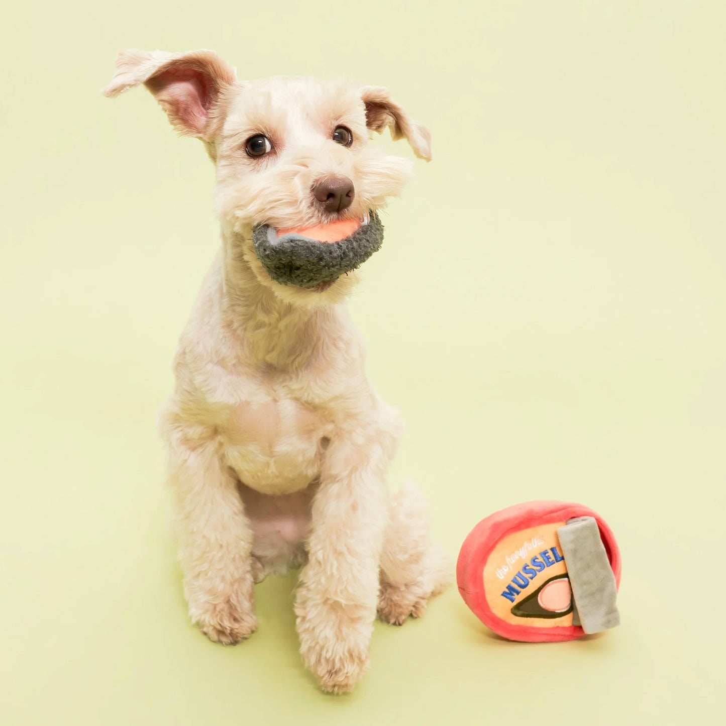 Tinned Mussel Nosework Toy