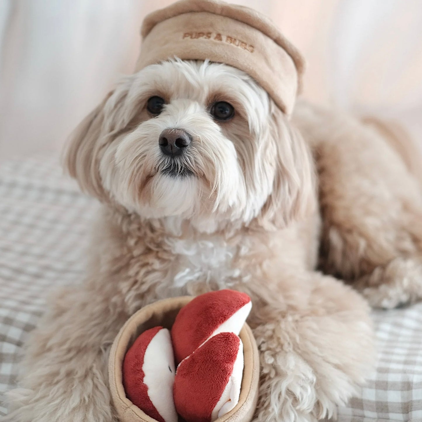 Apple Pie Nosework Toy