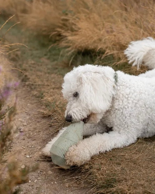 Yume enrichment dog product