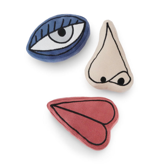 Picasso Enrichment Dog toy set