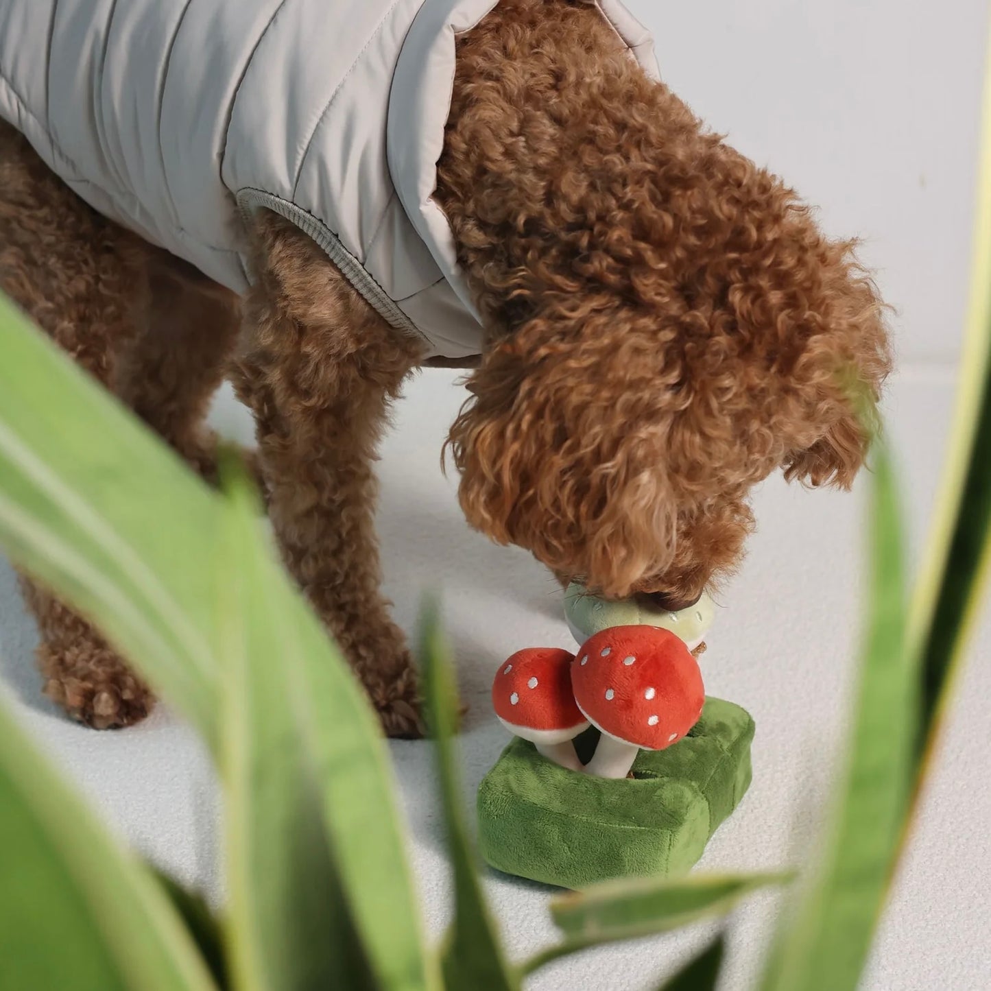 Forest Mushroom Nosework Toy