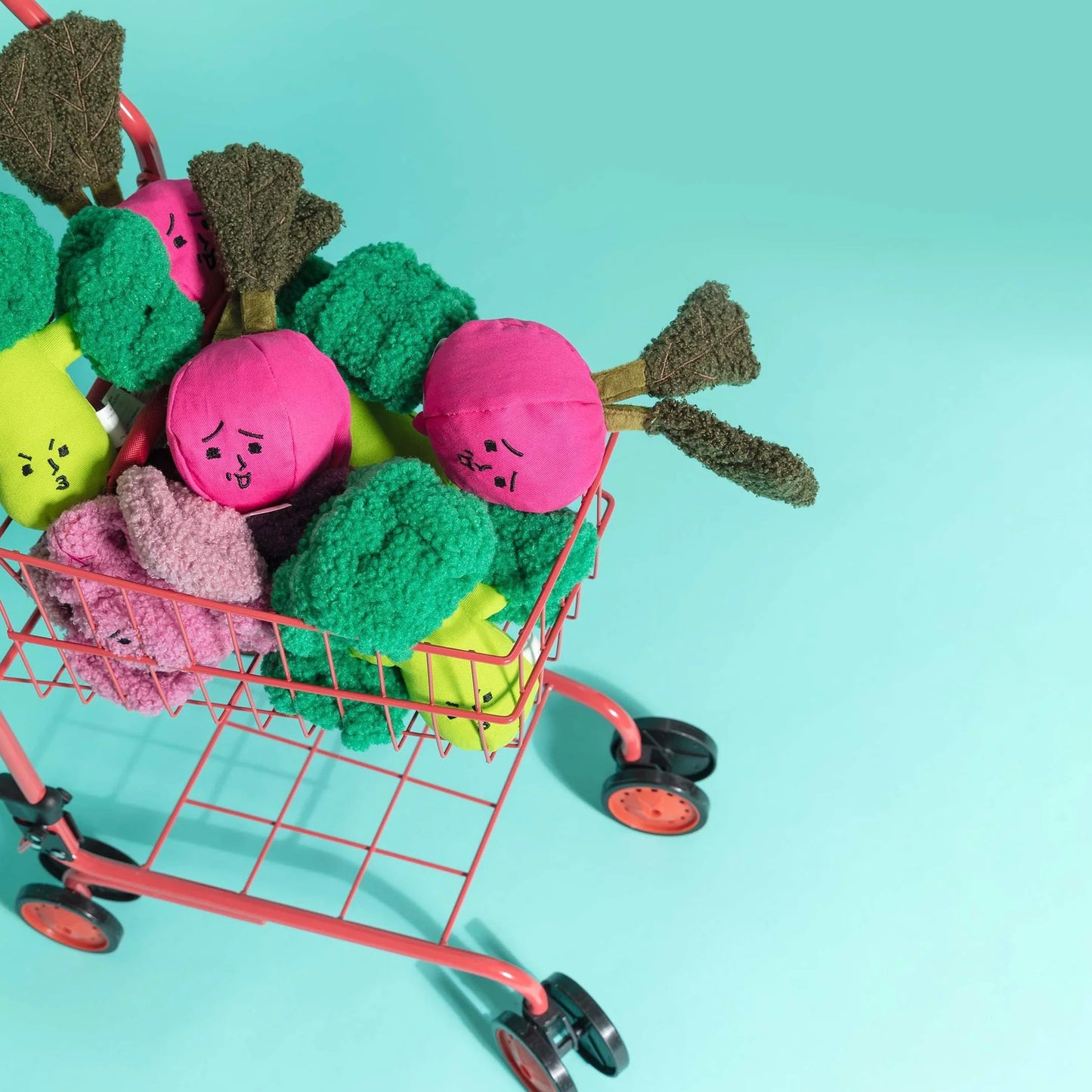 Red Cabbage Nosework Toy