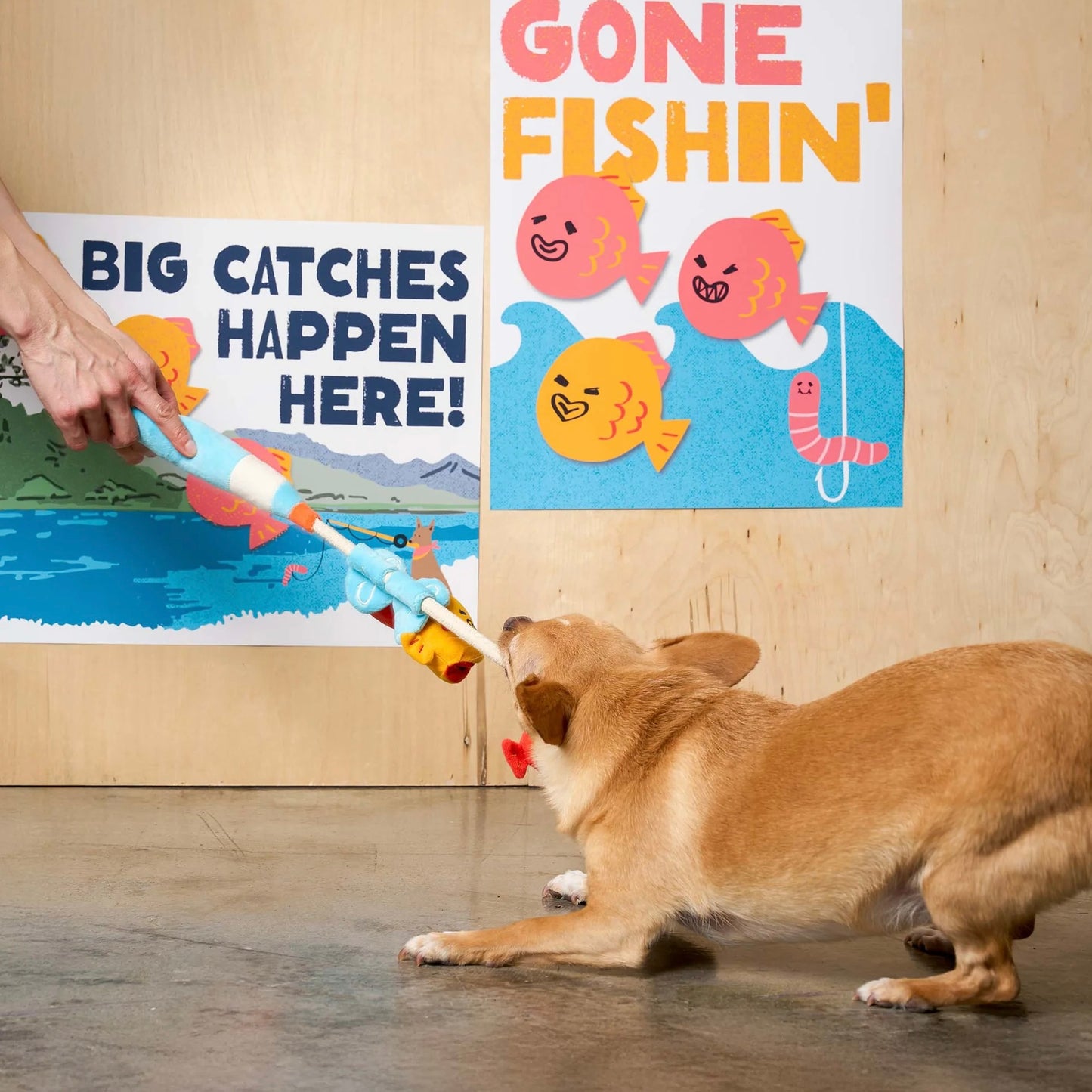 Fishing Nosework & Tug Toy